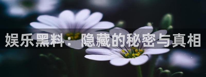 先锋娱乐公司：娱乐黑料：隐藏的秘密与真相