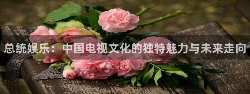 先锋娱乐公司：总统娱乐：中国电视文化的独特魅力与未来走向