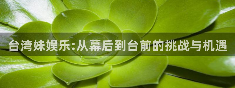 先锋娱乐平台：台湾妹娱乐:从幕后到台前的挑战与机遇