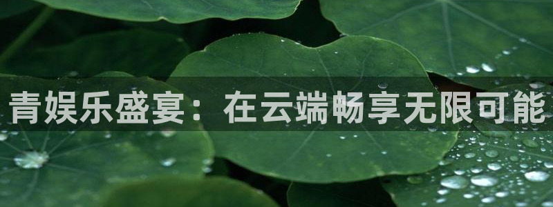 先锋娱乐平台：青娱乐盛宴：在云端畅享无限可能