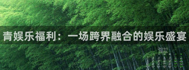 先锋娱乐平台：青娱乐福利：一场跨界融合的娱乐盛宴